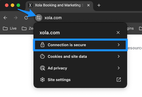 SSL Certificate - Google Chrome.png