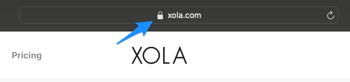 Safari SSL.png